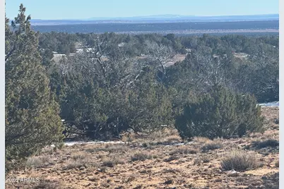 Lot 76 Red Sky Ranch -- #76, Saint Johns, AZ 85936 - Photo 4