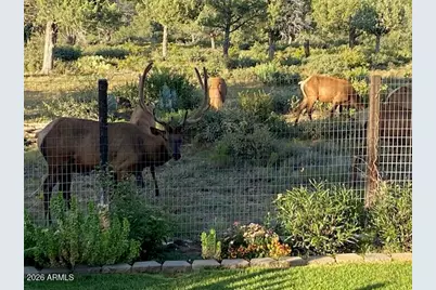 8071 W Vista Del Norte --, Payson, AZ 85541 - Photo 26