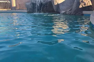 11037 E Sombra Ave, Mesa, AZ 85212 - Photo 52