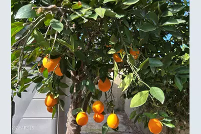 18802 N 36th Place, Phoenix, AZ 85050 - Photo 12