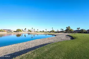 16149 W Quail Creek Ln, Surprise, AZ 85374 - Photo 44