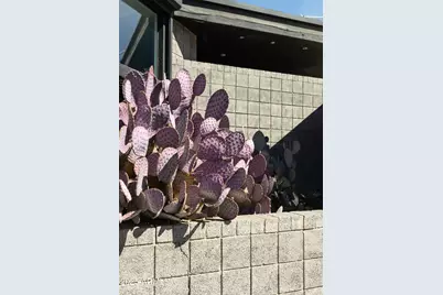 3126 N 6th Avenue, Phoenix, AZ 85013 - Photo 56