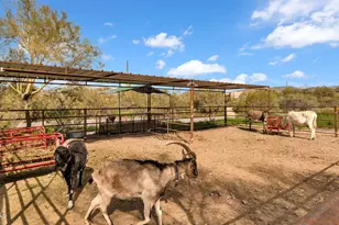 6447 E Lone Mountain Rd N, Cave Creek, AZ 85331 - Photo 32