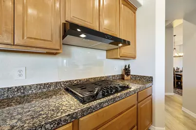 10877 N 120th Place, Scottsdale, AZ 85259 - Photo 20