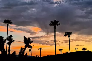 2605 S Tomahawk Rd, Apache Junction, AZ 85119 - Photo 22