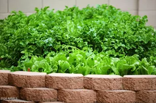 18132 W Townley Ave, Waddell, AZ 85355 - Photo 50