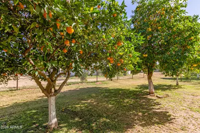 2912 E Houston Avenue, Gilbert, AZ 85234 - Photo 48