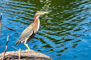 5108 S Planck Ln, Mesa, AZ 85212 - Photo 74