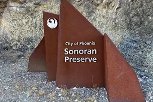 28839 N 20th Ln, Phoenix, AZ 85085 - Photo 46