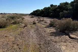 1184 W Silver Creek Ln, San Tan Valley, AZ 85140 - Photo 72