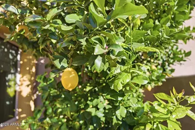 9850 E McDowell Mountain Ranch Road #1009, Scottsdale, AZ 85260 - Photo 46