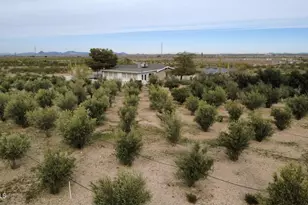 1081 W Dana Ave, Florence, AZ 85132 - Photo 46