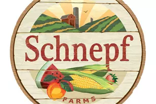 369 W Glacier Bay Dr, San Tan Valley, AZ 85140 - Photo 40