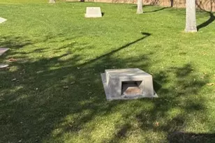 2420 W Blue Sky Dr, Phoenix, AZ 85085 - Photo 38