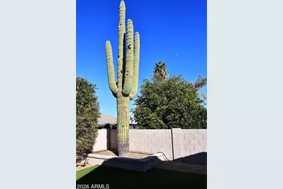 6210 E Blanche Drive, Scottsdale, AZ 85254 - Photo 48