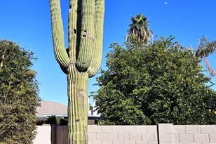 6210 E Blanche Dr, Scottsdale, AZ 85254 - Photo 48