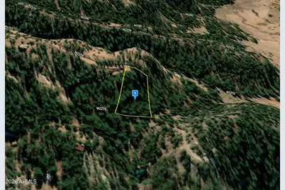50 N2276 -- #25, Nutrioso, AZ 85932 - Photo 2