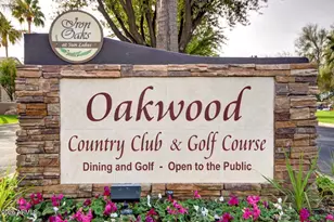 9323 E Arrowvale Dr, Sun Lakes, AZ 85248 - Photo 96