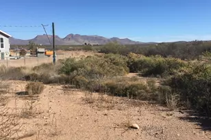 2595 N Washington Ave, Douglas, AZ 85607 - Photo 1