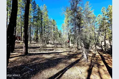 122 S Hunter Creek Drive #122, Payson, AZ 85541 - Photo 8