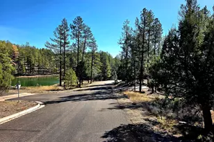 122 S Hunter Creek Dr, Payson, AZ 85541 - Photo 1