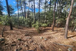 000 N Sundown Ln Ln, Pine, AZ 85544 - Photo 1