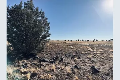 14 Tuscan Road #-, Ash Fork, AZ 86320 - Photo 14