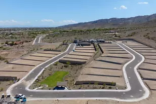 10223 S 20th Ln, Phoenix, AZ 85041 - Photo 30