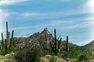 28835 N 111th St, Scottsdale, AZ 85262 - Photo 50