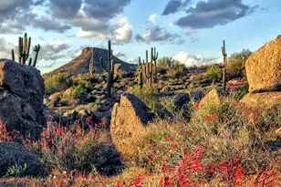 28835 N 111th St, Scottsdale, AZ 85262 - Photo 44