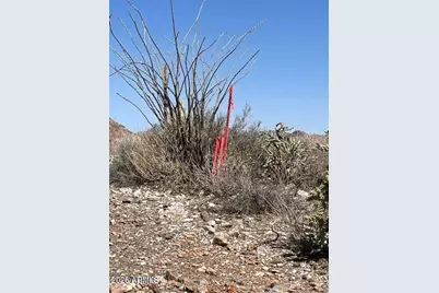 3246 N Silver Tip Trail #A, Queen Valley, AZ 85118 - Photo 12