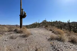 3246 N Silver Tip Trail, Queen Valley, AZ 85118 - Photo 1