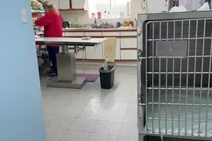 1250 N Fort Grant Rd, Willcox, AZ 85643 - Photo 28