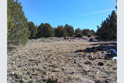 8850 Happy Trail, Show Low, AZ 85901 - Photo 36