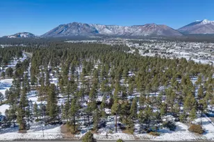7950 Koch Field Rd, Flagstaff, AZ 86004 - Photo 44
