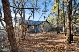 2419 N Cimatario Dr, Lakeside, AZ 85929 - Photo 40