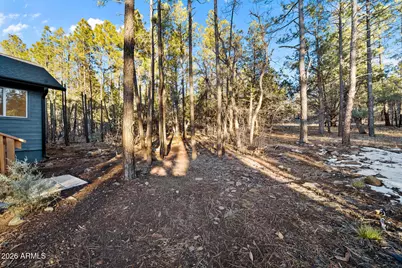 2419 N Cimatario Drive, Lakeside, AZ 85929 - Photo 40