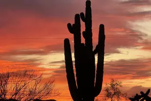 25206 W Rockaway Hills Dr, Morristown, AZ 85342 - Photo 50