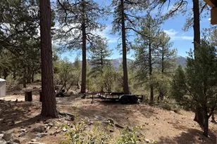 22761 S Eagle Mine Rd, Crown King, AZ 86343 - Photo 32