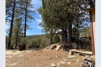 22761 S Eagle Mine Road, Crown King, AZ 86343 - Photo 24