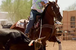 90 W Yavapai St, Wickenburg, AZ 85390 - Photo 26