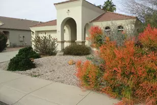 694 E Saddle Way, San Tan Valley, AZ 85143 - Photo 2