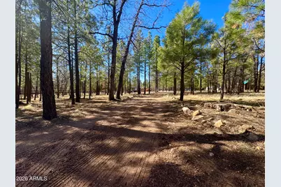 826 Jacks Canyon Drive, Happy Jack, AZ 86024 - Photo 2