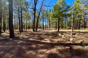 826 Jacks Canyon Dr, Happy Jack, AZ 86024 - Photo 2