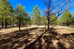 826 Jacks Canyon Dr, Happy Jack, AZ 86024 - Photo 1