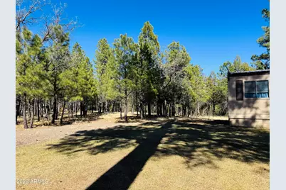 826 Jacks Canyon Drive, Happy Jack, AZ 86024 - Photo 22