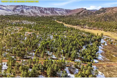 9 County Road 2269 --, Nutrioso, AZ 85932 - Photo 42