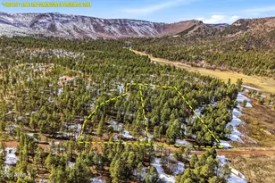 9 Co Rd 2269, Nutrioso, AZ 85932 - Photo 42