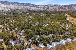 9 Co Rd 2269, Nutrioso, AZ 85932 - Photo 40