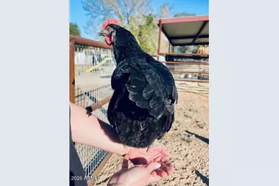 19103 E Via De Arboles --, Queen Creek, AZ 85142 - Photo 24